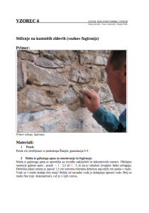 Stičenje na kamnitih zidovih (“ozko” fugiranje): vzorec 6